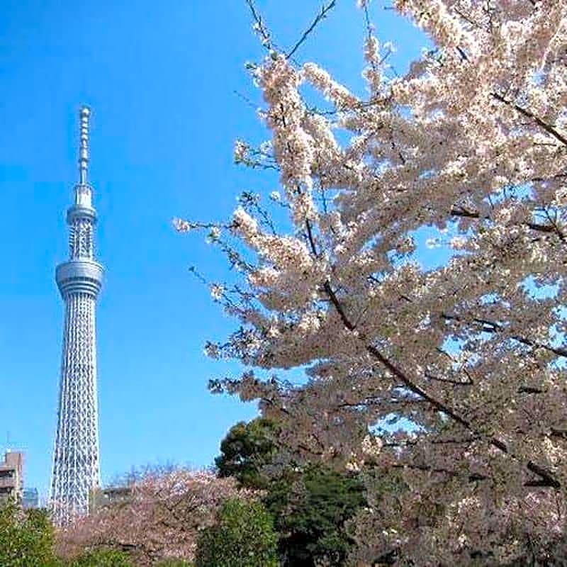 First Cabin Shinbashi Atagoyama Токио Экстерьер фото
